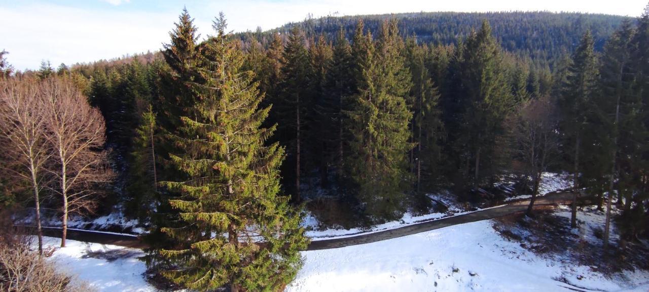 Ferienwohnung Tannenballett Im Schwarzwald Baiersbronn Bagian luar foto