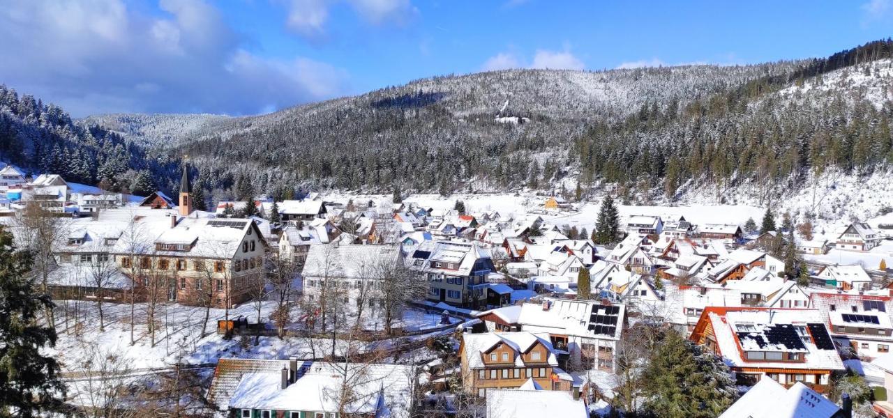 Ferienwohnung Tannenballett Im Schwarzwald Baiersbronn Bagian luar foto