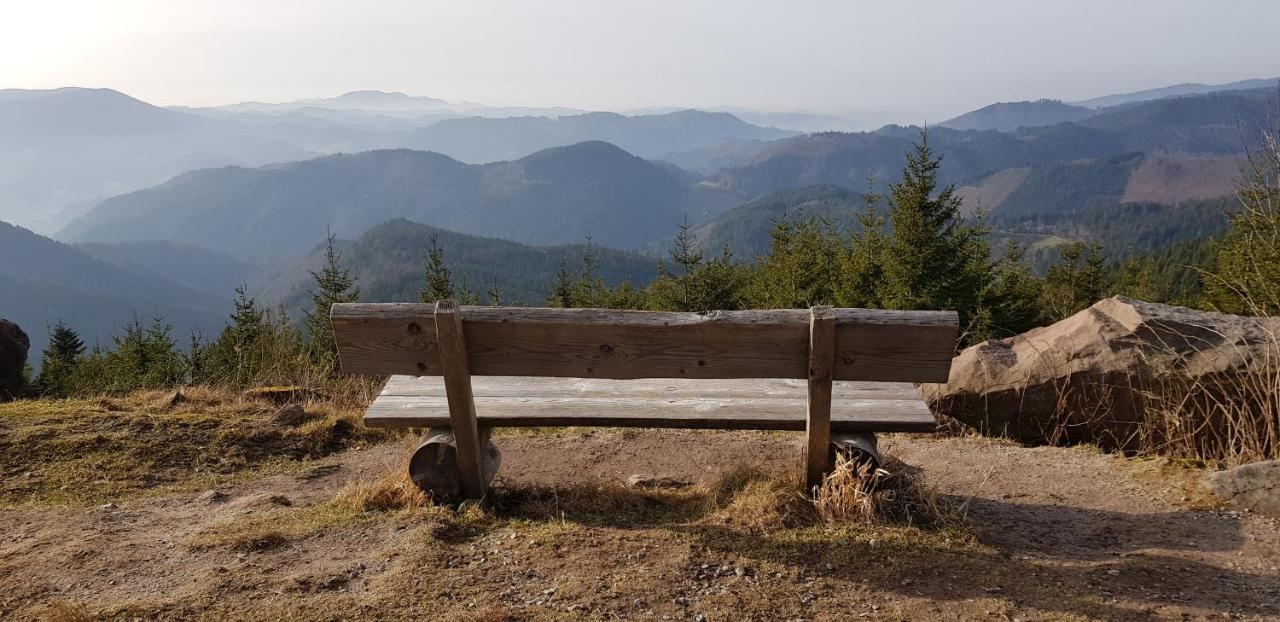 Ferienwohnung Tannenballett Im Schwarzwald Baiersbronn Bagian luar foto