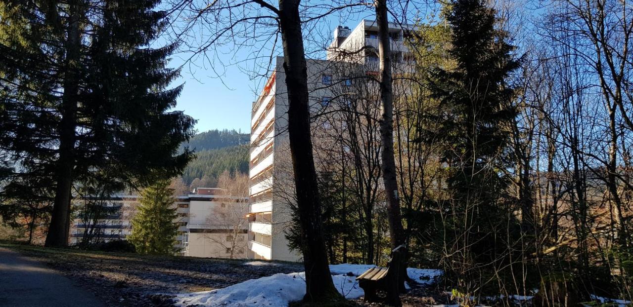 Ferienwohnung Tannenballett Im Schwarzwald Baiersbronn Bagian luar foto