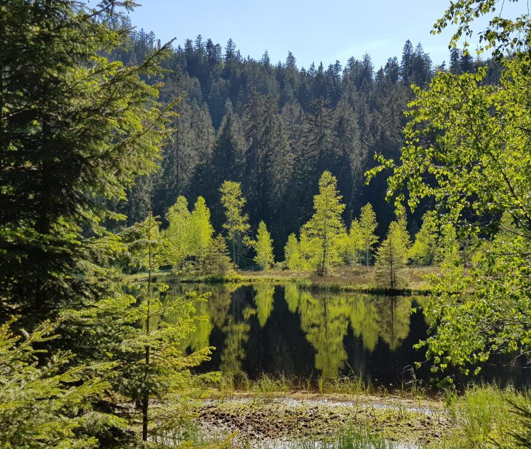 Ferienwohnung Tannenballett Im Schwarzwald Baiersbronn Bagian luar foto