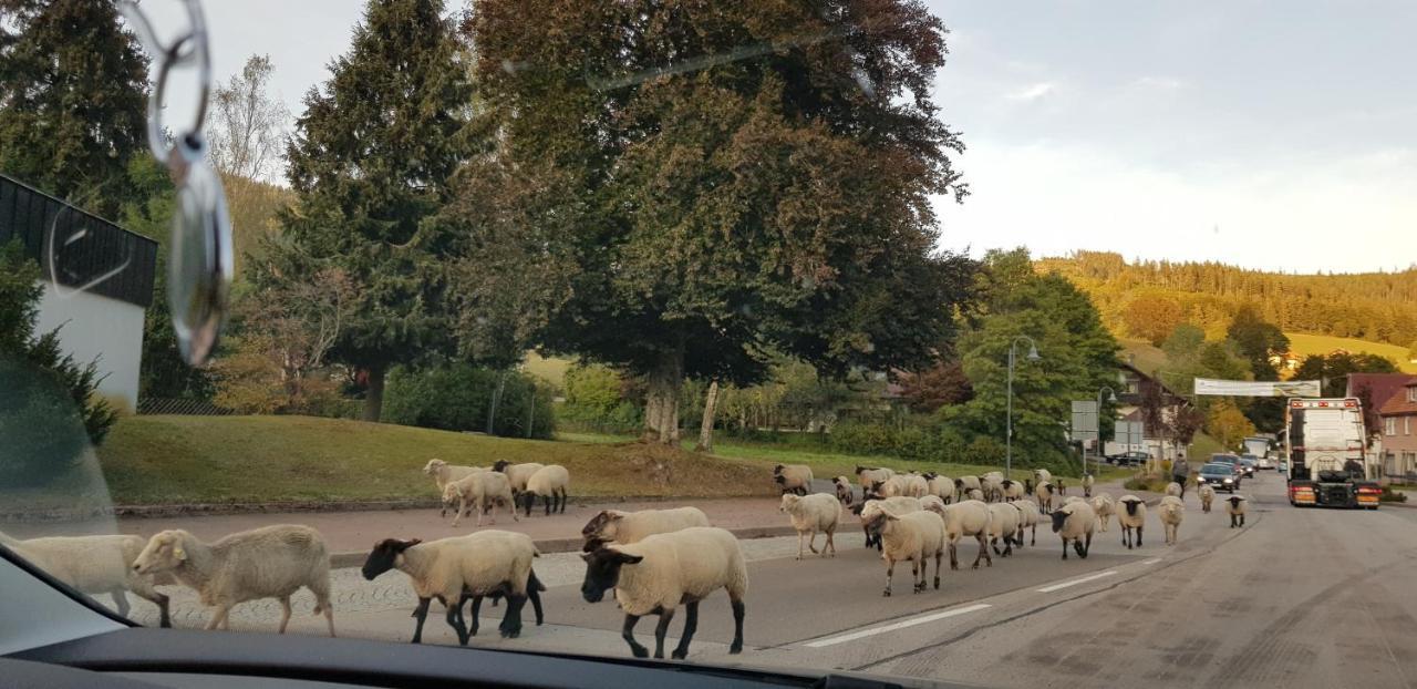 Ferienwohnung Tannenballett Im Schwarzwald Baiersbronn Bagian luar foto