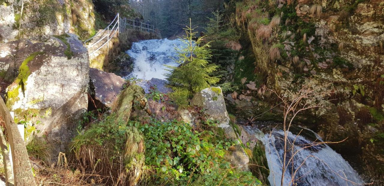Ferienwohnung Tannenballett Im Schwarzwald Baiersbronn Bagian luar foto