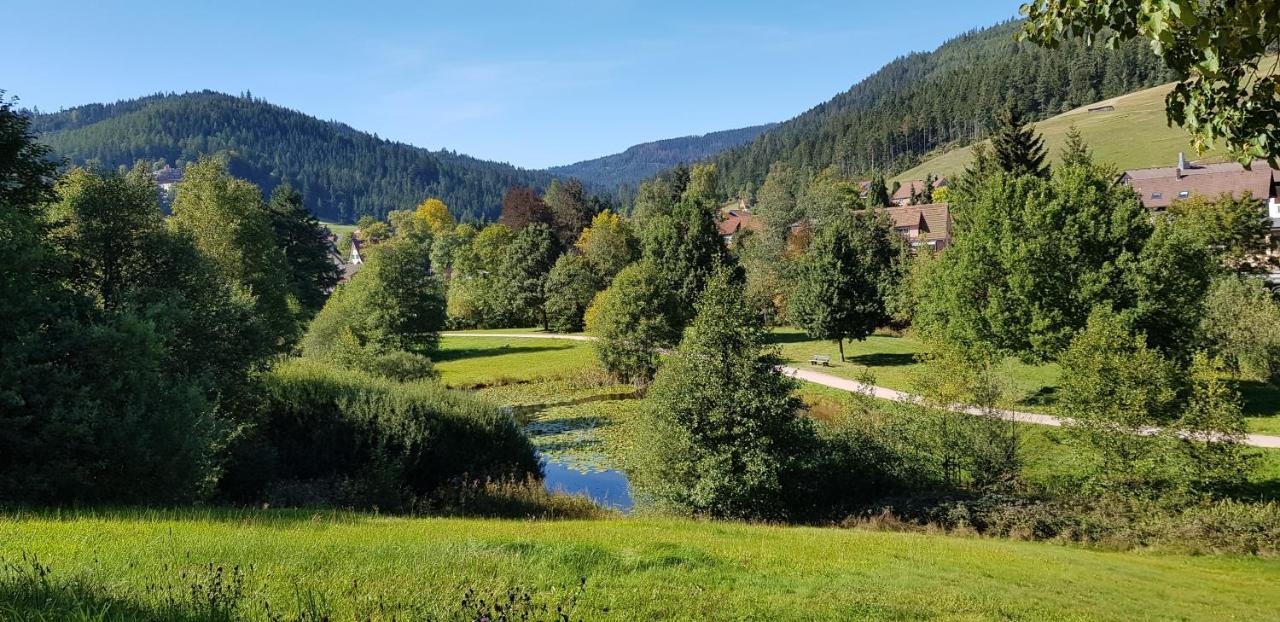 Ferienwohnung Tannenballett Im Schwarzwald Baiersbronn Bagian luar foto