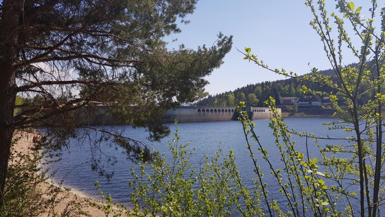 Ferienwohnung Tannenballett Im Schwarzwald Baiersbronn Bagian luar foto