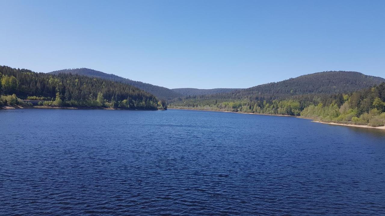 Ferienwohnung Tannenballett Im Schwarzwald Baiersbronn Bagian luar foto