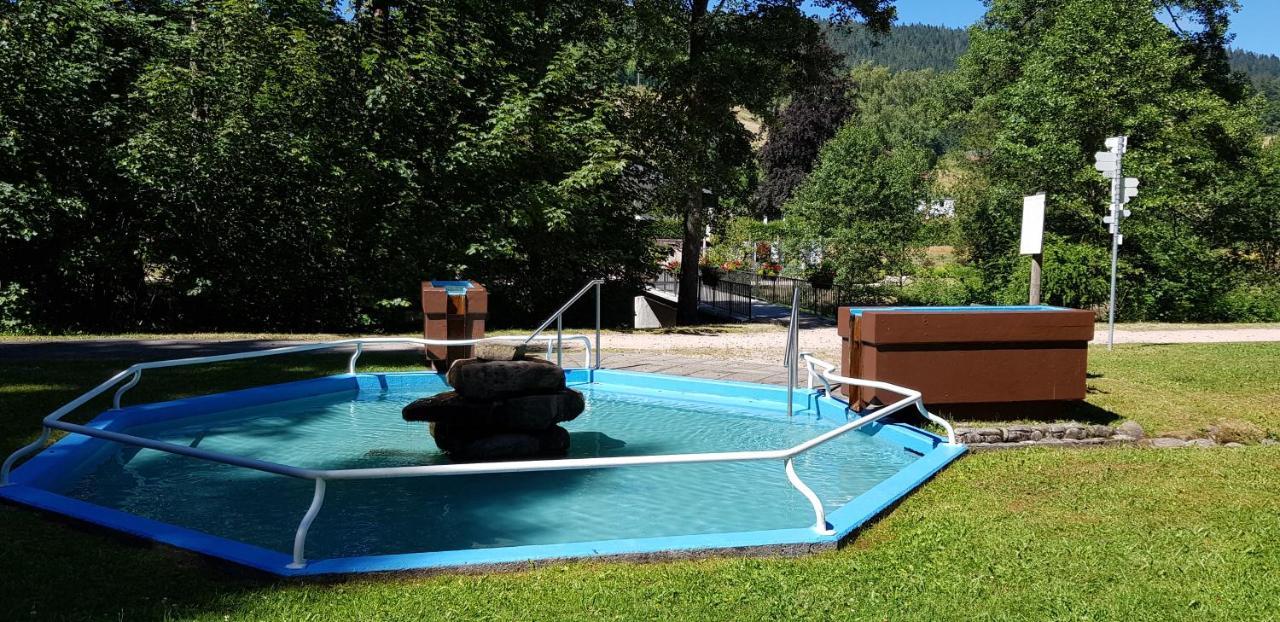 Ferienwohnung Tannenballett Im Schwarzwald Baiersbronn Bagian luar foto