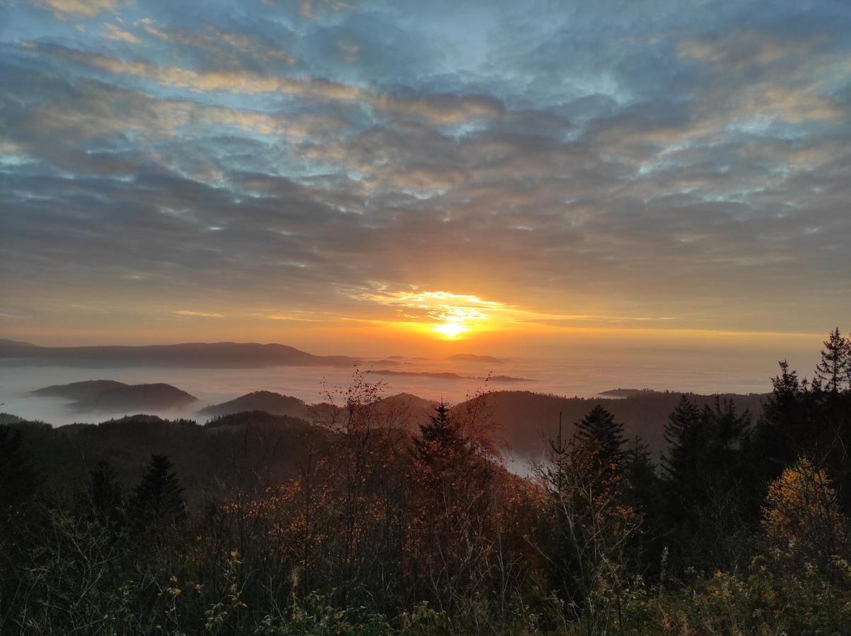 Ferienwohnung Tannenballett Im Schwarzwald Baiersbronn Bagian luar foto