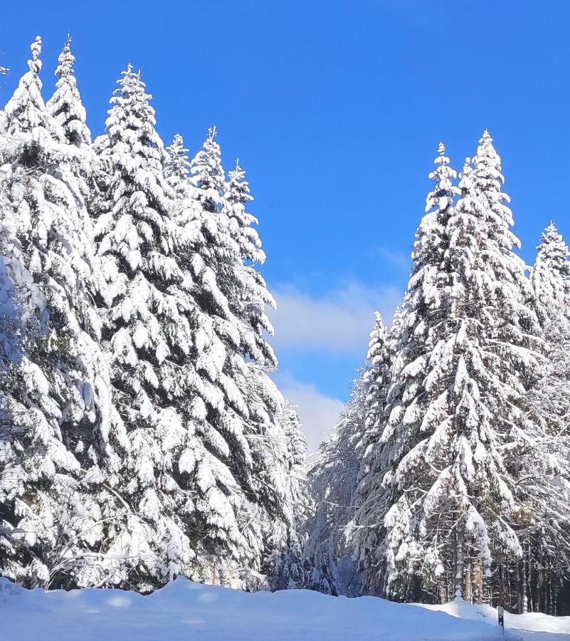 Ferienwohnung Tannenballett Im Schwarzwald Baiersbronn Bagian luar foto