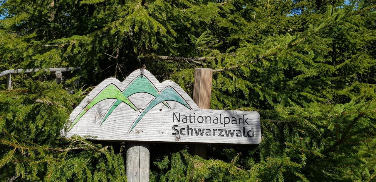 Ferienwohnung Tannenballett Im Schwarzwald Baiersbronn Bagian luar foto