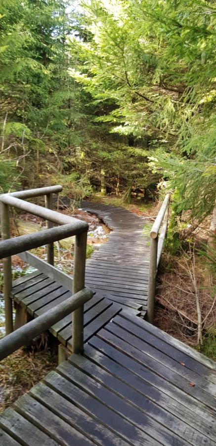 Ferienwohnung Tannenballett Im Schwarzwald Baiersbronn Bagian luar foto