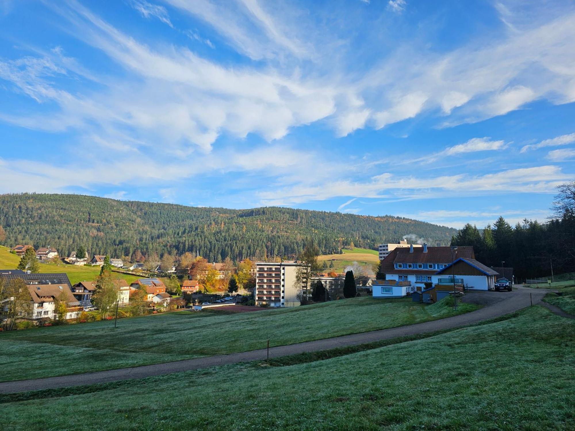 Ferienwohnung Tannenballett Im Schwarzwald Baiersbronn Bagian luar foto