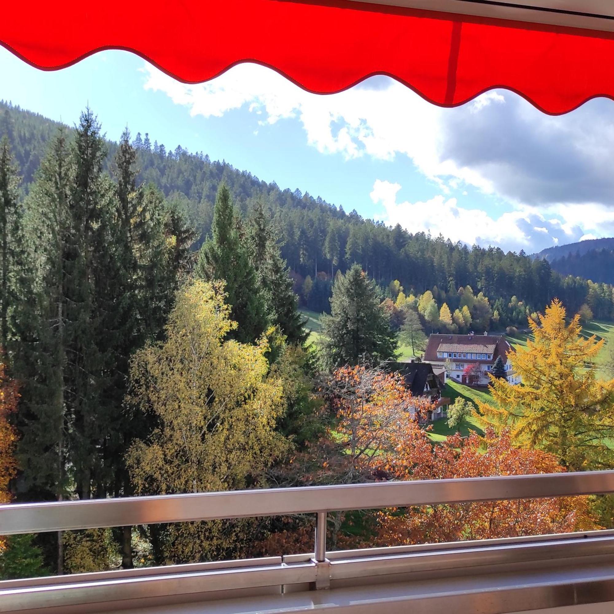Ferienwohnung Tannenballett Im Schwarzwald Baiersbronn Bagian luar foto