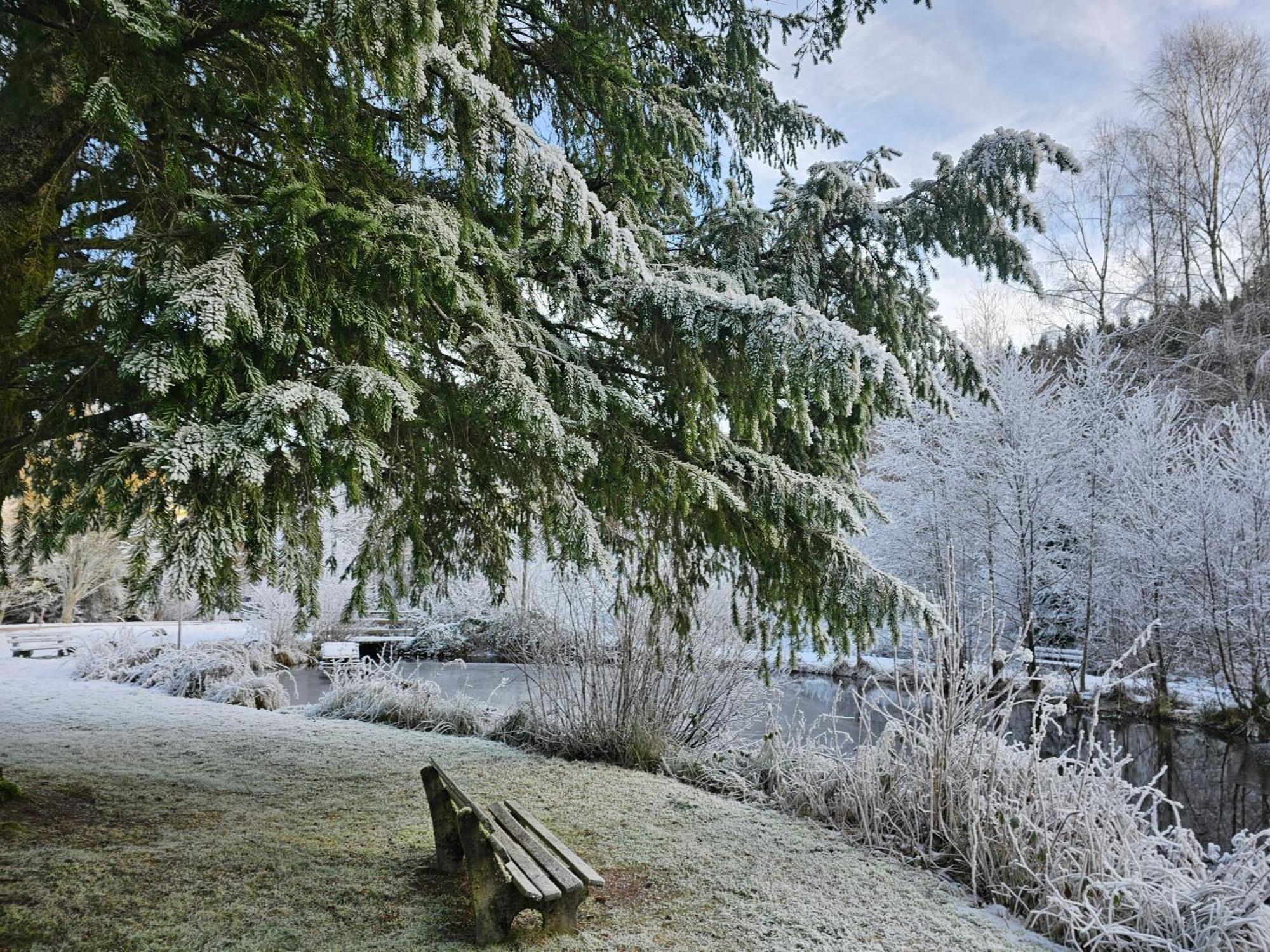 Ferienwohnung Tannenballett Im Schwarzwald Baiersbronn Bagian luar foto